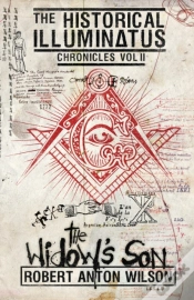 Capa do artigo The Widow