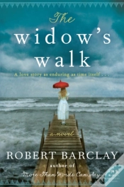 Capa do artigo The Widow