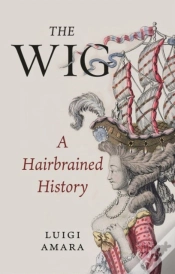 Capa do artigo The Wig