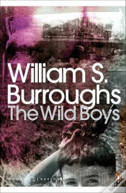 Capa do artigo The Wild Boys