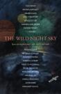 The Wild Night Sky - Preview