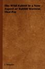 The Wild Rabbit In A New Aspect Or Rabbi - Preview