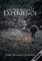 Capa do artigo The Wilderness Experience