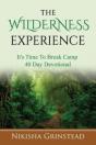 The Wilderness Experience It'S Time To Break Camp 40 Day Devotional - Preview
