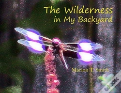 Capa do artigo The Wilderness In My Backyard