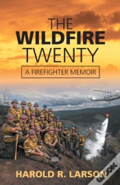 Capa do artigo The Wildfire Twenty
