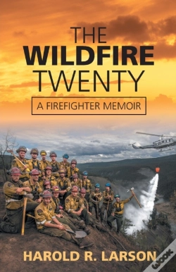 Capa do artigo The Wildfire Twenty