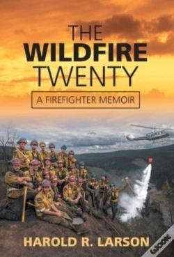 Capa do artigo The Wildfire Twenty