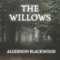 The Willows - Preview