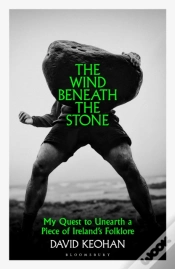 Capa do artigo The Wind Beneath The Stone