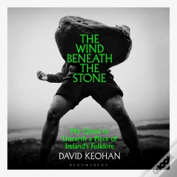 Capa do artigo The Wind Beneath The Stone