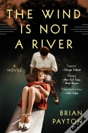 Capa do artigo The Wind Is Not A River