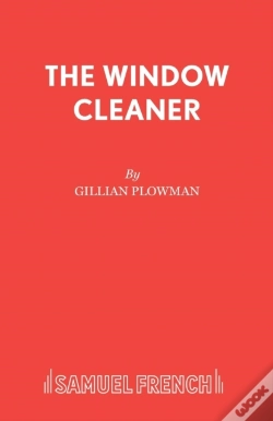 Capa do artigo The Window Cleaner