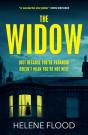 The Window - Preview