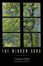 The Window Song - Preview