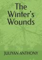 The Winter'S Wounds - Preview