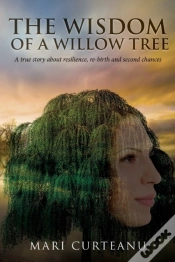 Capa do artigo The Wisdom Of A Willow Tree