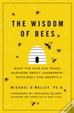 Capa do artigo The Wisdom Of Bees