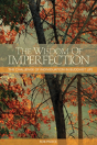 The Wisdom Of Imperfection - Preview