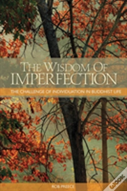 Capa do artigo The Wisdom Of Imperfection