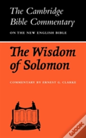 Capa do artigo The Wisdom Of Solomon