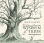 The Wisdom Of Trees - Preview