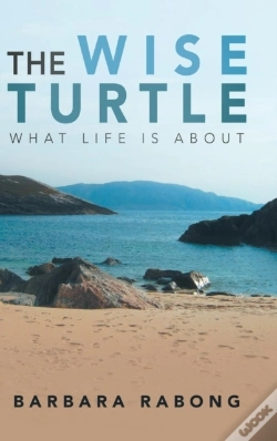 Capa do artigo The Wise Turtle
