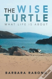Capa do artigo The Wise Turtle