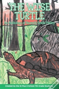 Capa do artigo The Wise Turtle