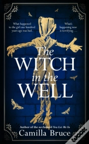 Capa do artigo The Witch In The Well
