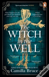 Capa do artigo The Witch In The Well