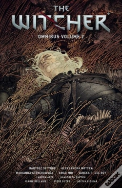 Capa do artigo The Witcher Omnibus Volume 2