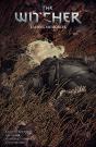 The Witcher Volume 5: Fading Memories - Preview