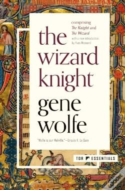 Capa do artigo The Wizard Knight
