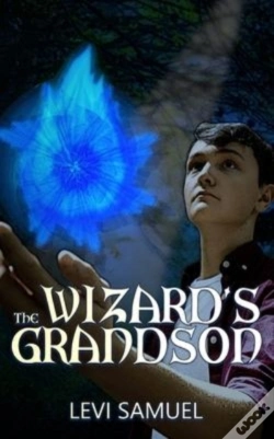 Capa do artigo The Wizard'S Grandson