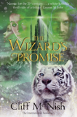 The Wizard'S Promise