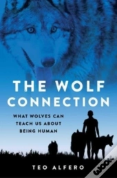 The Wolf Connection