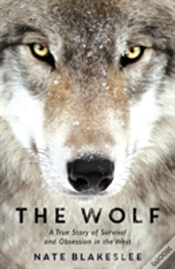 Capa do artigo The Wolf