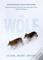 Capa do artigo The Wolf