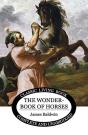 The Wonder Book Of Horses - Preview