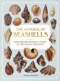 The Wonder Of Seashells - Preview