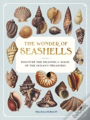 Capa do artigo The Wonder Of Seashells
