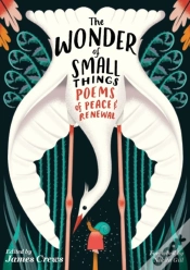 Capa do artigo The Wonder Of Small Things