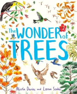 The Wonder Of Trees
