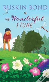 Capa do artigo The Wonderful Stone