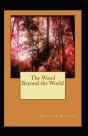 The Wood Beyond The World Annotated - Preview