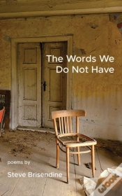 Capa do artigo The Words We Do Not Have