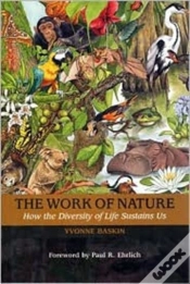 Capa do artigo The Work Of Nature