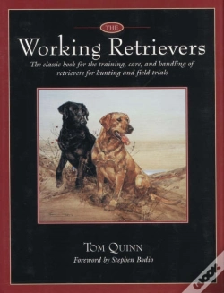 Capa do artigo The Working Retrievers