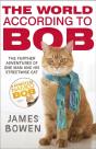 The World According To Bob - Preview